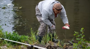 Odra może być niebezpieczna dla psów. Nie pozwalajcie na kąpiele i picie tej wody