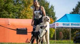 Piknik z psiakiem z biegiem na czterech łapach