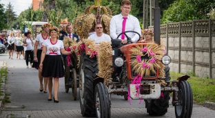 Zbliżają się dożynki w Gminie Domaniów