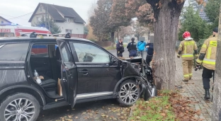 Straciła panowanie nad pojazdem i uderzyła w drzewo