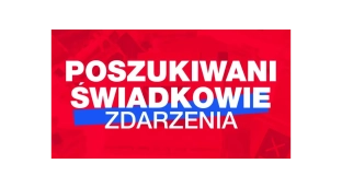 Potrąciła psa i odjechała. Właścicielka szuka świadków