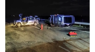 Poważny wypadek. Stado dzików wbiegło na autostradę