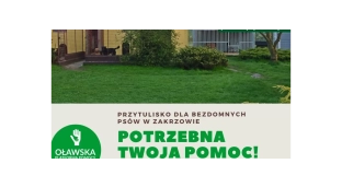 Przytulisko w Zakrzowie potrzebuje pomocy