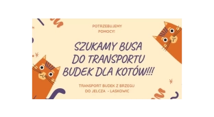 Poszukują busa do przewiezienia bud dla kotów