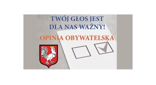 Co sądzisz o in vitro? Miasto przygotowało sondę