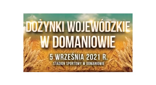 Tegoroczne dożynki w Domaniowie. Zobacz, kto zagra na scenie