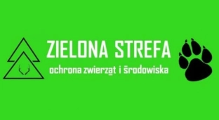 Zielona strefa, co to takiego?