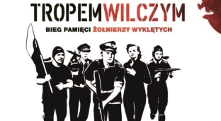 Pobiegnij Tropem Wilczym w Oławie