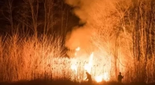 Wypalając trawy, stwarzasz zagrożenie dla siebie i innych