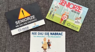 Szkolenie online dla seniorów