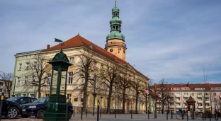 Ekologiczny happening. Miasto będzie rozdawać sadzonki