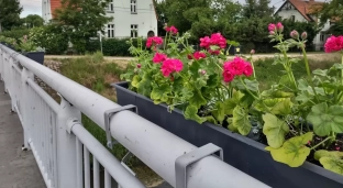 Coraz więcej dekoracji kwiatowych w mieście