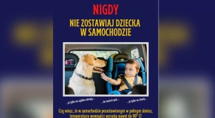 Nie zostawiaj dzieci i zwierząt w rozgrzanym aucie!