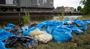 Pierwsze transporty śniętych ryb pojechały do utylizacji