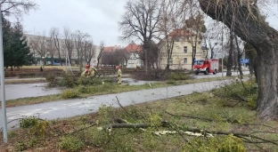 Prognozowany jest silny wiatr!