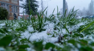 Ostrzeżenie przed ujemnymi temperaturami