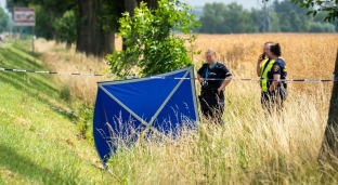 Tragiczny wypadek podczas wycinki drzew. Nie żyje mężczyzna