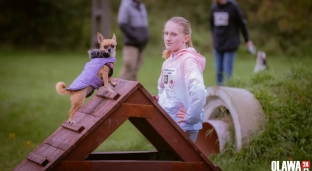 Piknik z psiakiem. Zebrano sporą sumę pieniędzy [ZDJĘCIA]