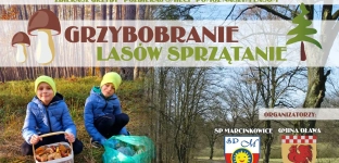 Grzybobranie i sprzątanie lasów. Dołącz do akcji!