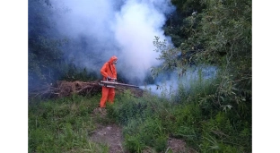 Odkomarzanie miasta odbędzie się raz jeszcze!