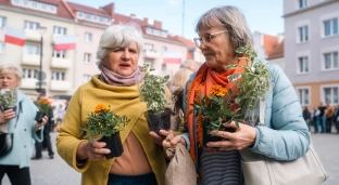 Na oławskim Rynku rozdawano sadzonki