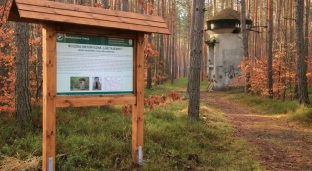 Las bez tajemnic: Powstaje ścieżka historyczna