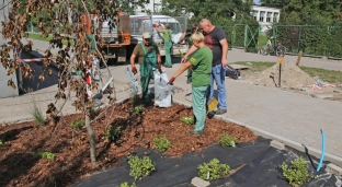 Strefa relaksu nabiera zieleni