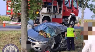 Zjechał z drogi i uderzył w drzewo. Nie żyje kierowca Hyundaia