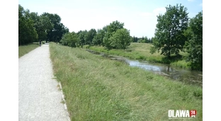 Zarośnięte wały, Wody Polskie ich nie skoszą. Burmistrz pisze skargę