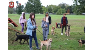 Piknik z psem i biegiem na czterech łapach