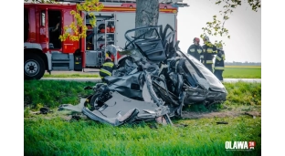 BMW roztrzaskało się o drzewo [ZDJĘCIA]