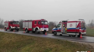 Straciła panowanie i wjechała do rowu