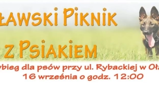 Przyjdź ze swoim psem na piknik