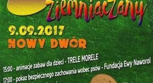 Piknik Ziemniaczany w Nowym Dworze