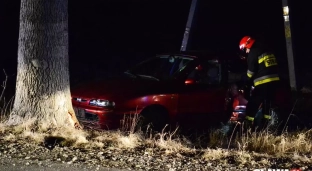 Pijany nieletni ukradł kluczyki i wjechał w drzewo