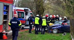 Nie zatrzymał się do kontroli i uderzył w drzewo [VIDEO]