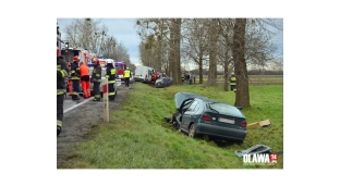 Wypadek pod Jankowicami - 5 osób poszkodowanych [VIDEO]