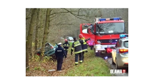 Uderzyła w drzewo. W ciężkim stanie trafiła do szpitala [VIDEO]