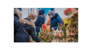 Miasto zaprasza wystawców na Jarmark Wielkanocny