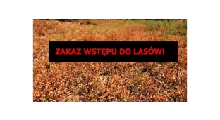 Zakaz wstępu do lasu - jest susza