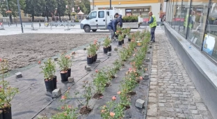 Miasto staje się coraz ładniejsze