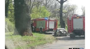 Stracił panowanie i uderzył w drzewo