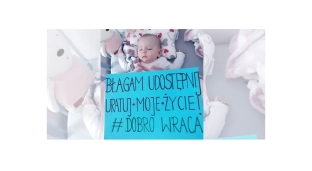 Tosia coraz bliżej celu, właśnie wybił ósmy milion!