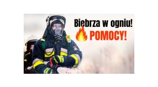 Biebrza w ogniu. Giną tysiące zwierząt, a strażakom brakuje sprzętu!