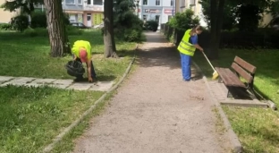 Podopieczni Zakładu Aktywności Zawodowej dbają o czystość w mieście. Uszanujmy ich pracę