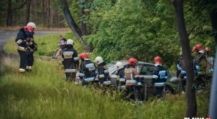 Osobówka dachowała w lesie