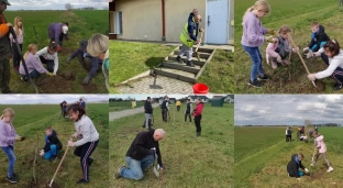 Wiosna ach ta wiosna. Ruszyły akcje nasadzeń nowych drzew