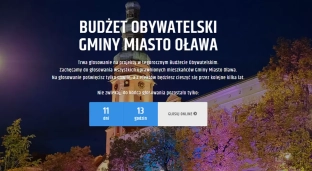 Ruszyło głosowanie w budżecie obywatelskim. Jakie projekty są do wyboru?