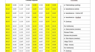 Darmowe autobusy na Wszystkich Świętych. Sprawdź rozkład