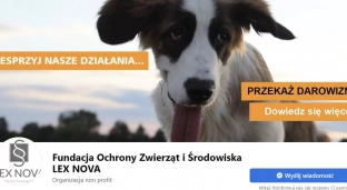 Fundacja wydaje oświadczenie: Opisaliśmy stan faktyczny, jaki zastaliśmy podczas interwencji